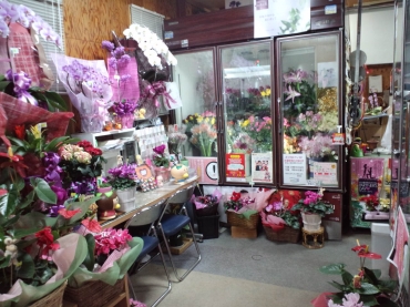 「花のデパート金花」　（岐阜県各務原市）の花屋店舗写真1