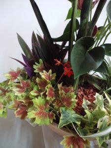 観葉植物プランツできました。｜「花のデパート金花」　（岐阜県各務原市の花キューピット加盟店 花屋）のブログ