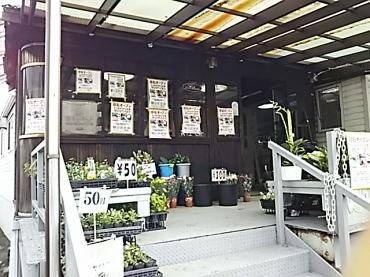 移転しました。これからもよろしくお願いします。｜「花のデパート金花」　（岐阜県各務原市の花キューピット加盟店 花屋）のブログ