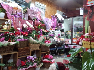 「花のデパート金花」　（岐阜県各務原市）の花屋店舗写真2